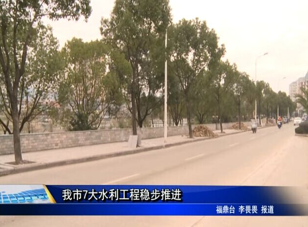 我市7大水利工程稳步推进