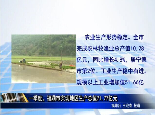 一季度，福鼎市实现地区生产总值71.77亿元