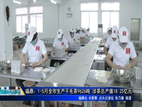 福鼎：1-5月全市生产干毛茶9626吨 涉茶总产值18.25亿元