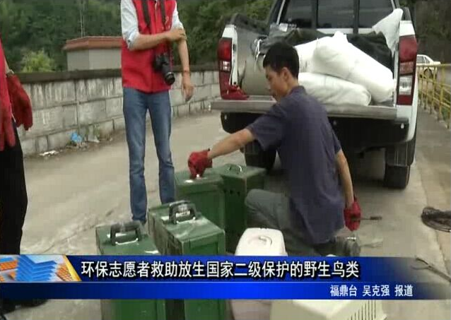 环保志愿者救助放生国家二级保护的野生鸟类