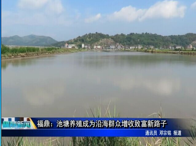 福鼎：池塘养殖成为沿海群众增收致富新路子