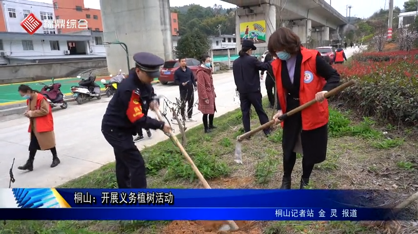 桐山：开展义务植树活动