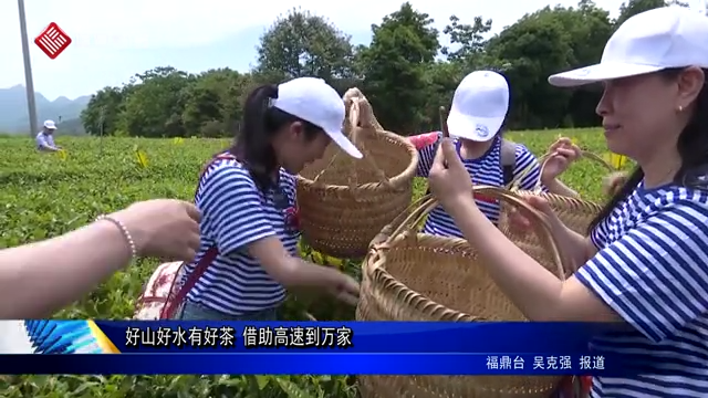 好山好水有好茶 借助高速到万家