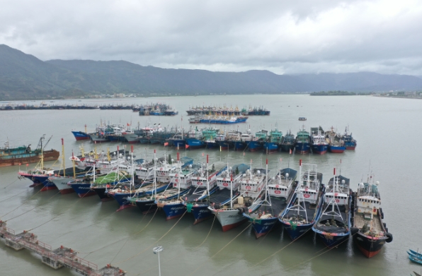 台风逼近 点头镇内湾海域外地渔船有序停泊避风
