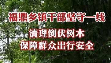 福鼎乡镇干部坚守抗台一线，清理倒伏树木，保障群众出行安全。