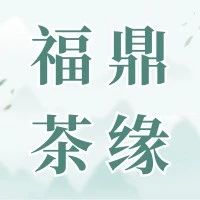 福鼎茶缘丨白茶茶经